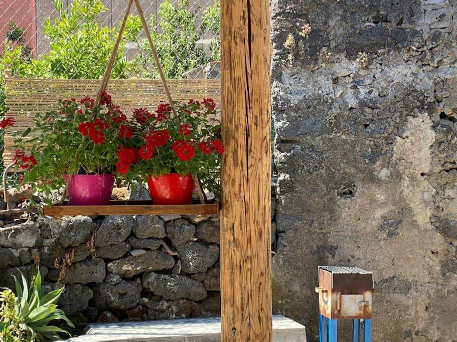 Vila Casaammari Acireale Exteriér fotografie